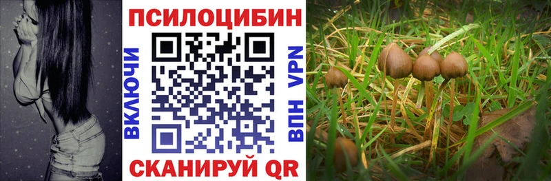 Купить где Кыштым Псилоцибиновые грибы прущие грибы